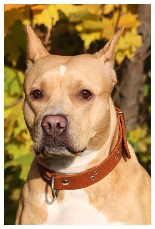 Светлана Салий | Киев