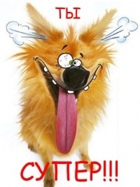 №24, Екатерина Волкова №24, Екатерина Волкова