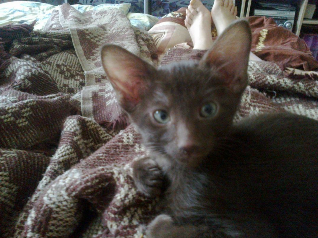 Татьяна Пархоменко | Санкт-Петербург