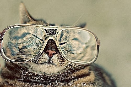 Тома Крупенина | Москва