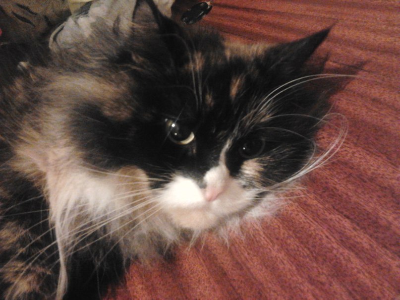 Татьяна Закирова Ledi_T | Ижевск