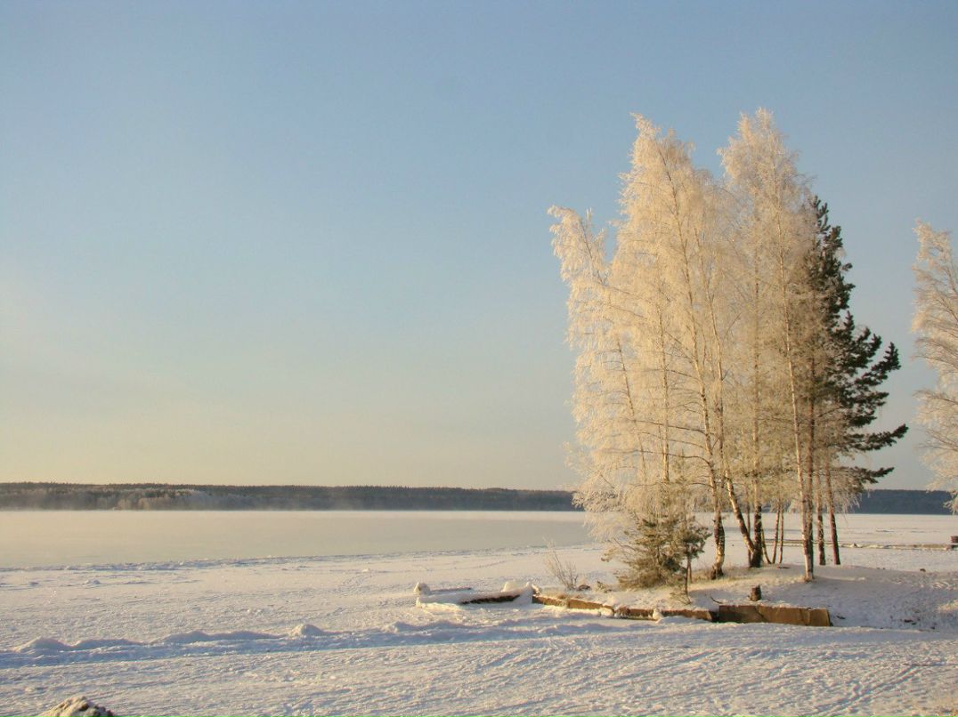 Андрей Иванов | Санкт-Петербург