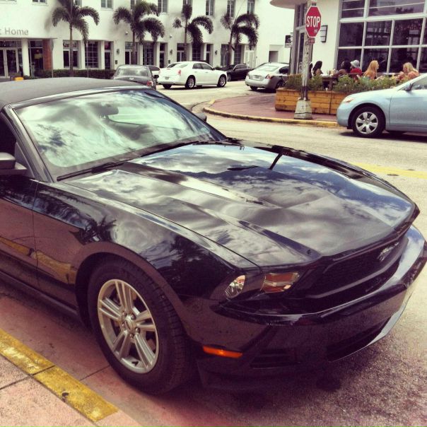 №109, Даша Савельева, Санкт-Петербург №109, Даша Савельева, Санкт-Петербург