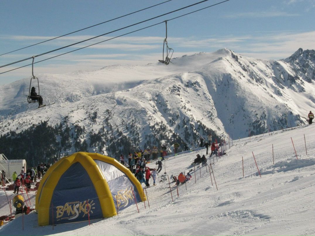 Mary Vtulkina *violet* | Люберцы