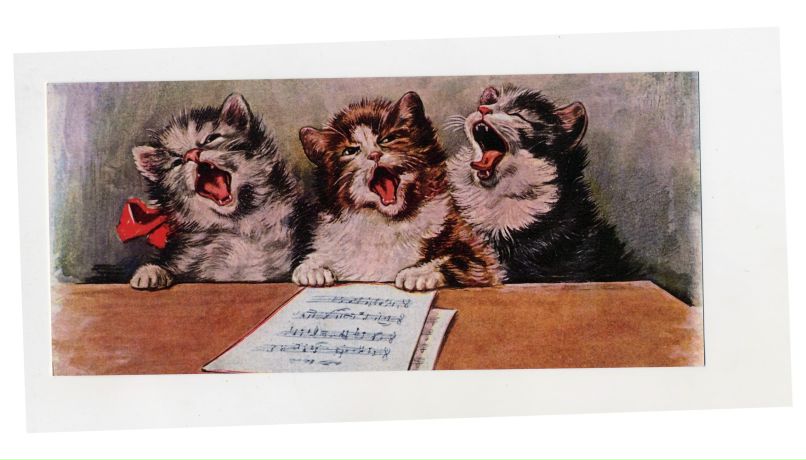 Александр Кузнецов | Санкт-Петербург