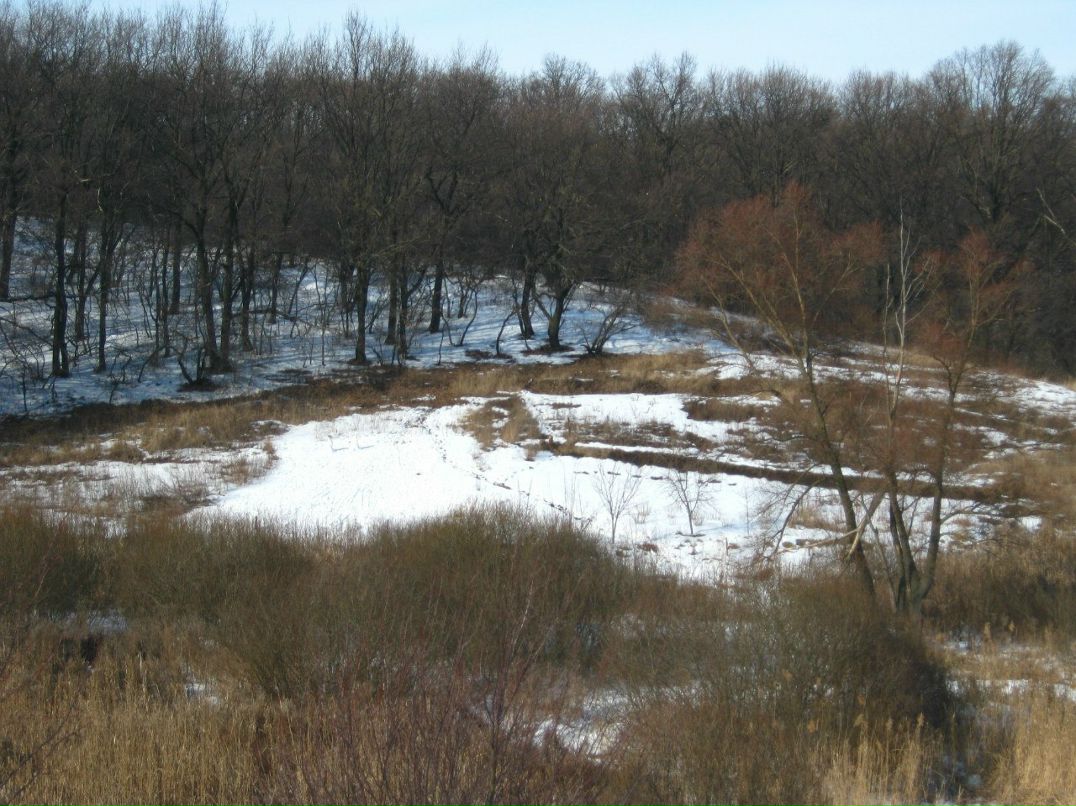 Влад Владимиров | Москва