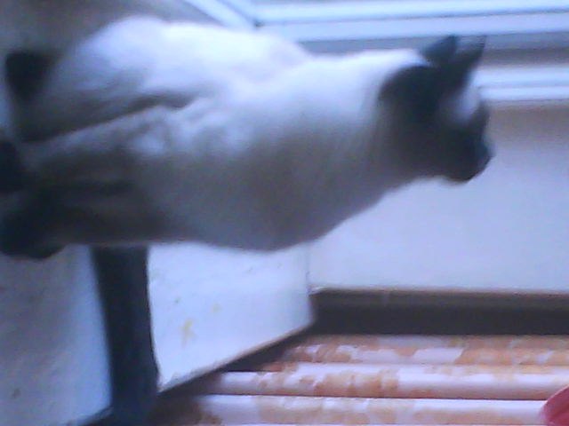 Мария Ткачёва | Казань