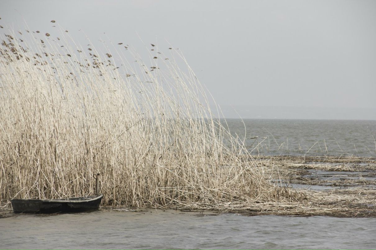 Елена Фостенко | Белгород-Днестровский