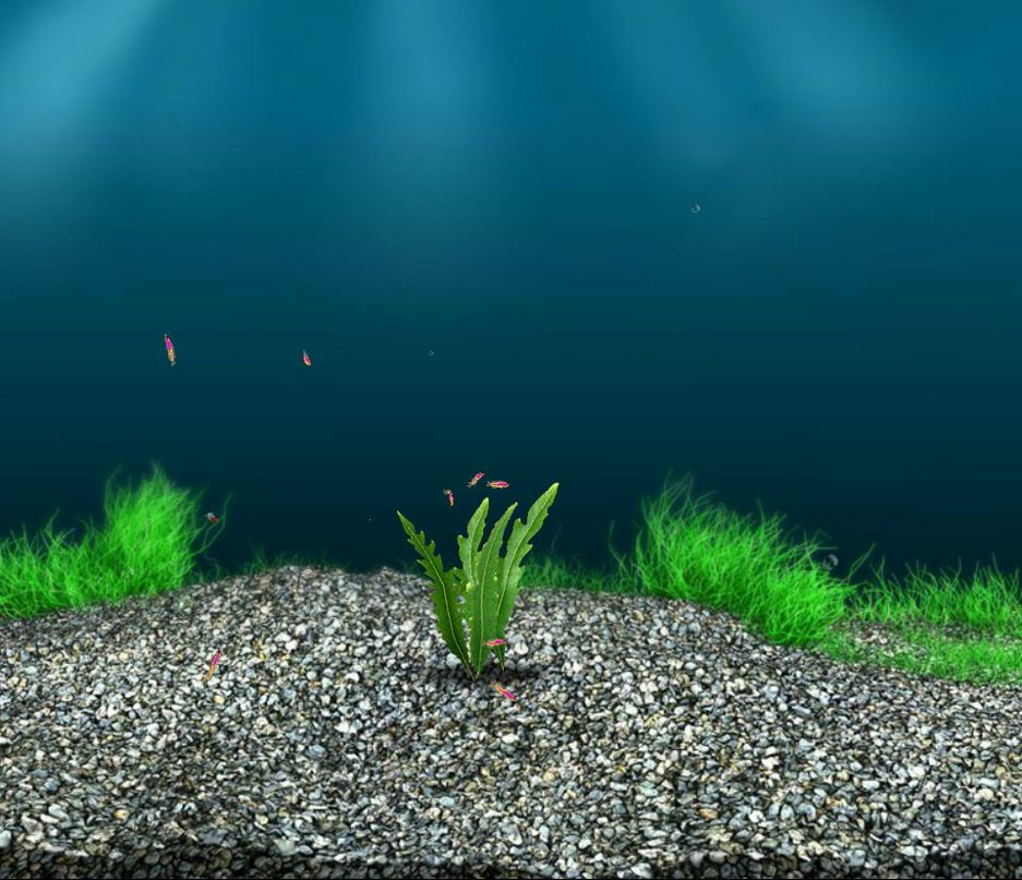 Кирилл Саватов | Москва