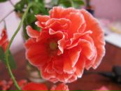 №6 Екатерина Смирнова 05.04.1986: профиль, фото, статус - ВКонтакте