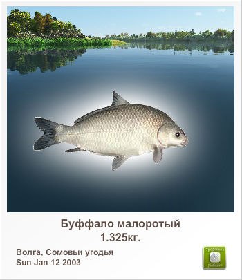 Евгения Бган | Ванино