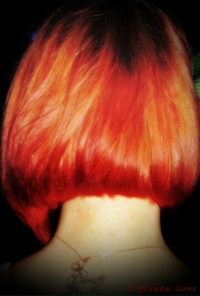 №64, Лена Милова №64, Лена Милова