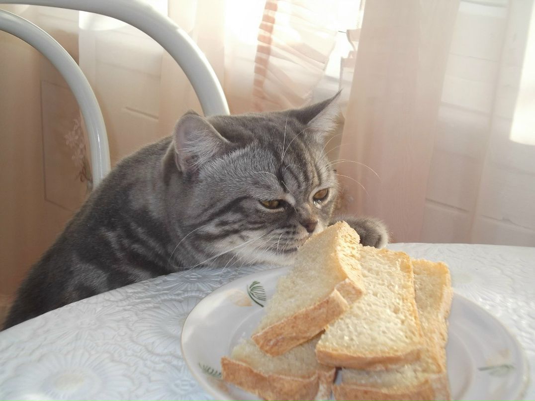 Анна Левщанкина | Самара