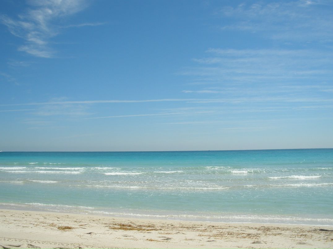 Татьяна Бартош | New York City