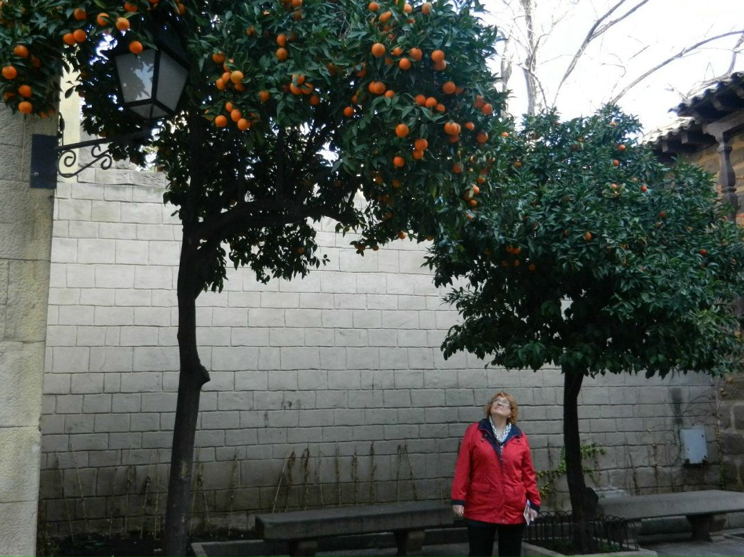 Галина Бугрова | Москва