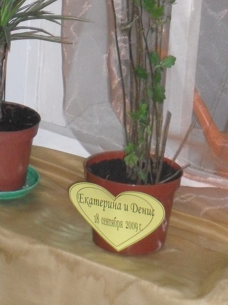 №3, Екатерина Новожилова, 39 лет, Ярославль №3, Екатерина Новожилова, 39 лет, Ярославль