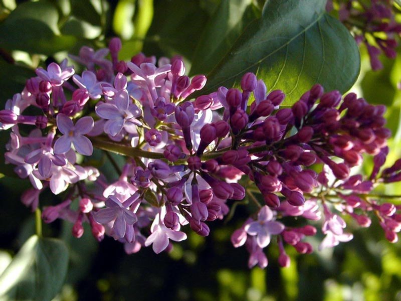 Ольга Чусовитина | Тюмень