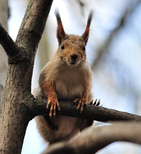 №5, Ирина Багаева №5, Ирина Багаева