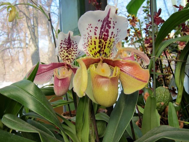 Анастасия Цветкова | Москва