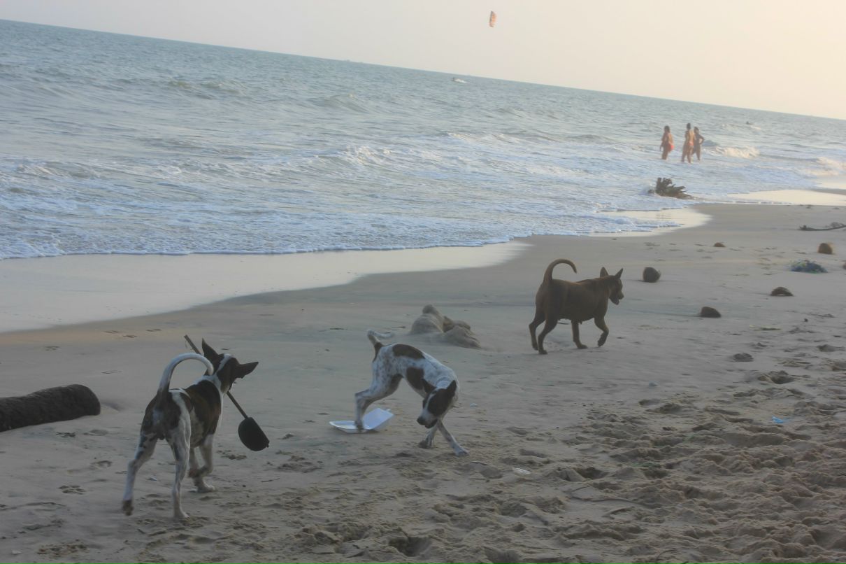 Евгения Батыршина | Москва