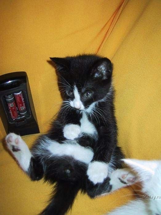 Азат Аглямов ـاـزـاـت | Красноярск