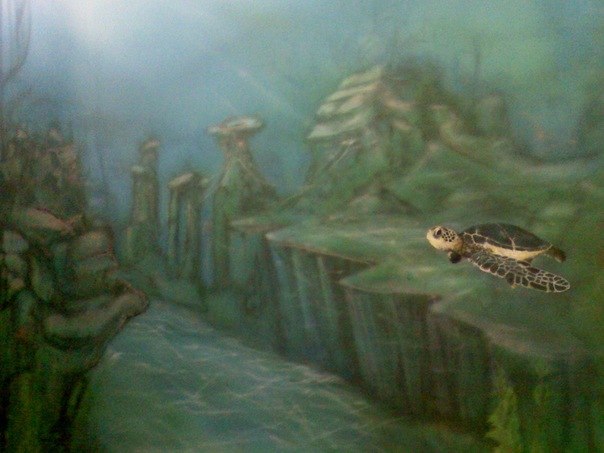 Влад Вдовиченко | Киев