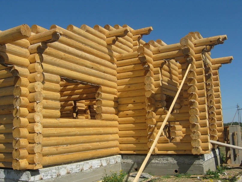 Денис Дидевич | Рязань