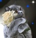 Маргарита Бутавко фотография #33