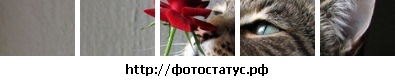 №4, Елена Павлова, Архангельск, Россия №4, Елена Павлова, Архангельск, Россия