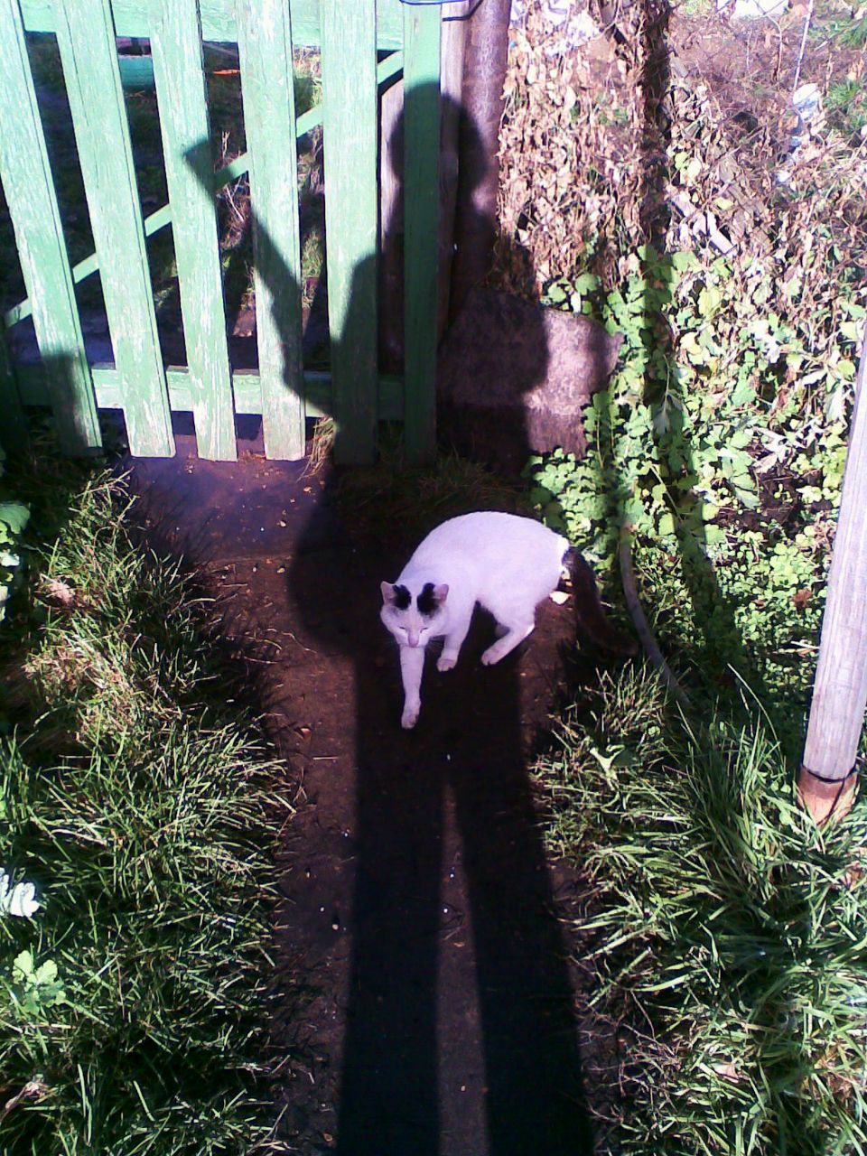 Алёна Колесникова | Уфа