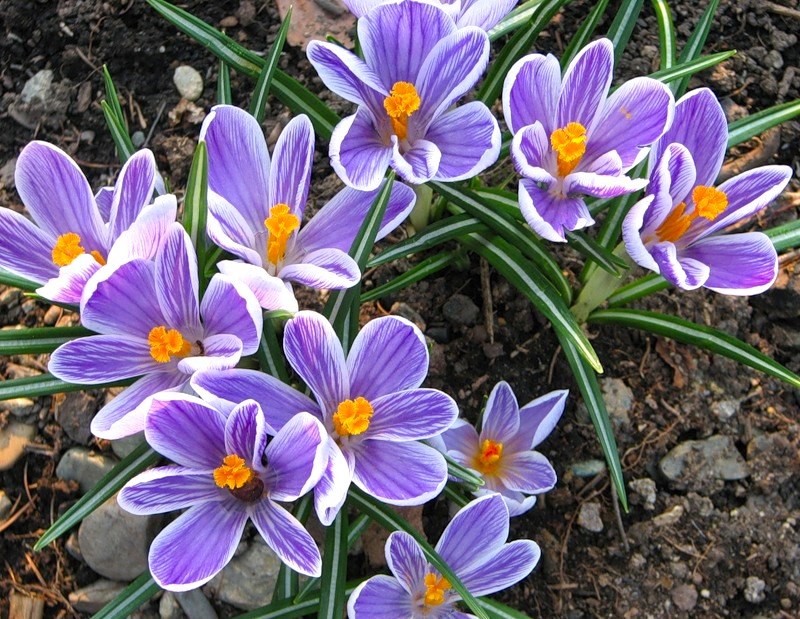 Татьяна Шефчикова | Санкт-Петербург