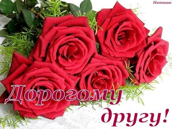 Наталі Цимбалюк ♥♥♥ | Львов