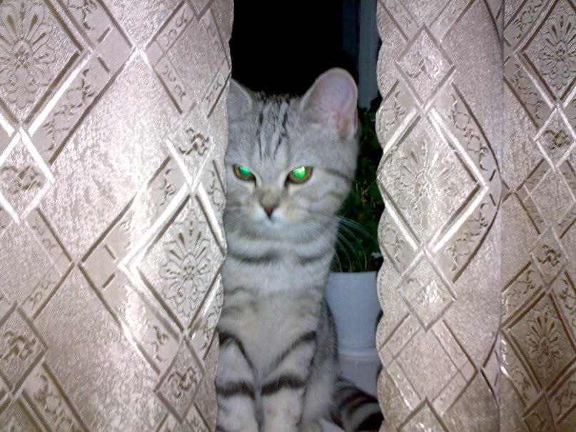 Иван Бузмаков | Кемерово