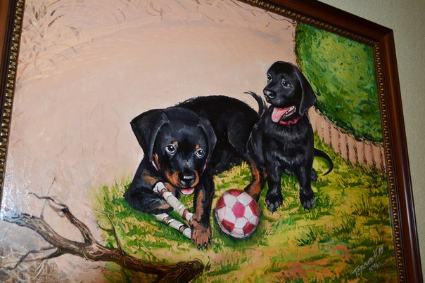 №81, Ольга Брусник, Кривой Рог №81, Ольга Брусник, Кривой Рог