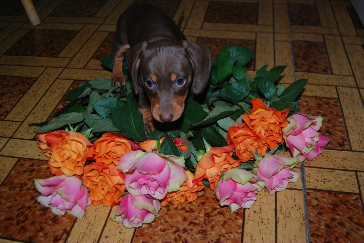 Ксения Иванова | Москва