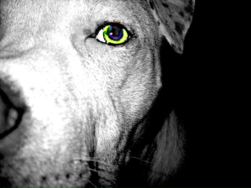 Веталь Александров | Санкт-Петербург