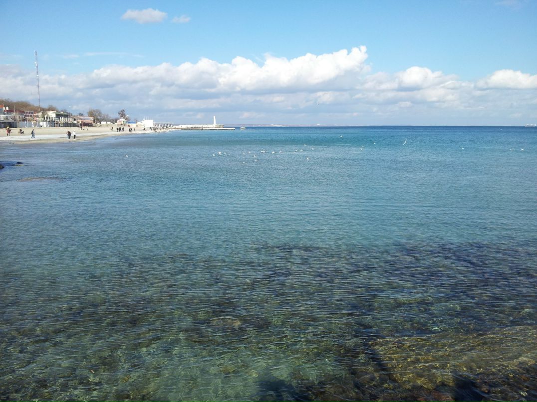 Дмитрий Александров | Одесса