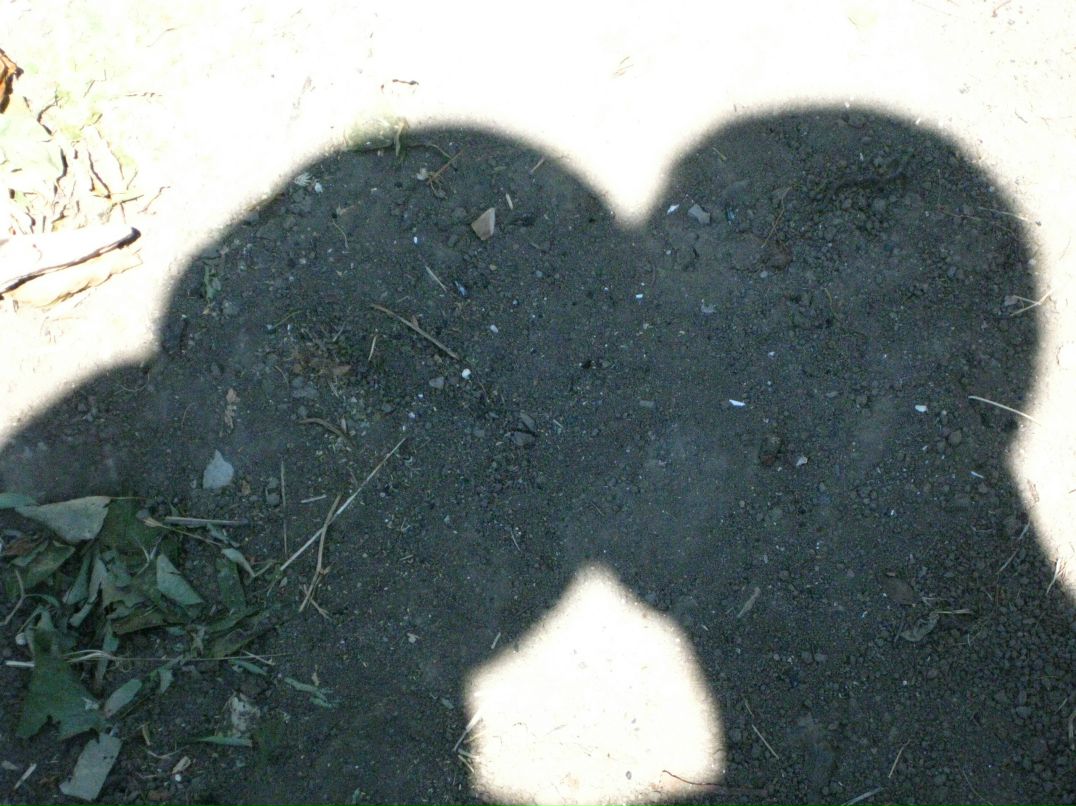 Ксения Панчугова | Москва