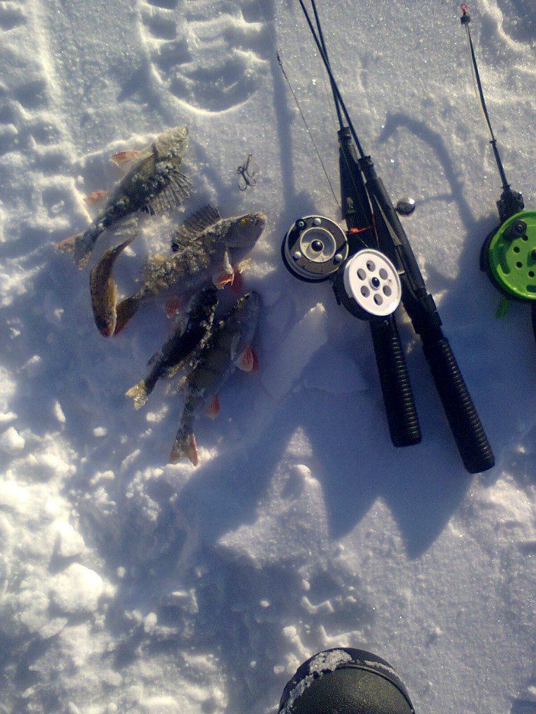 Салават Мурзагулов -InStream- | Уфа