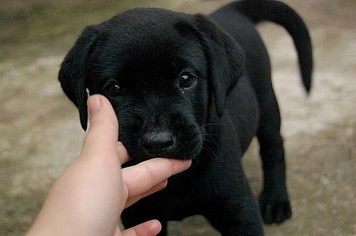 Таня Алёшина | Киев