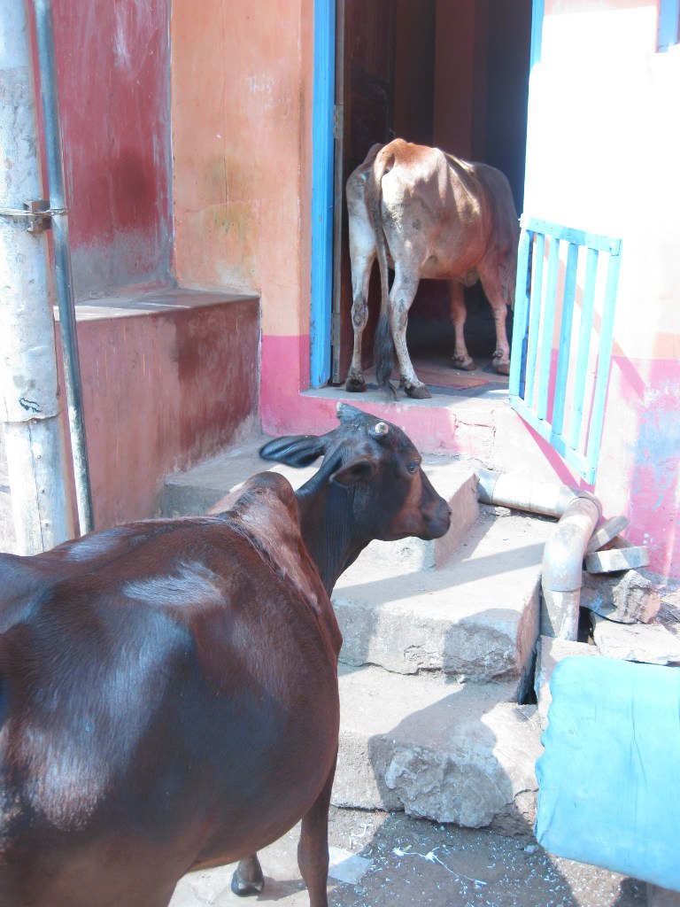 Артем Кирин | Красноярск