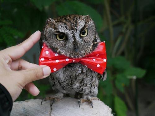 Денис Гнатыч | Москва