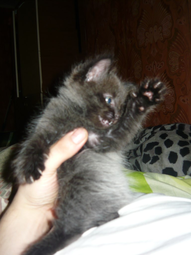 Иван Ванюшичев | Санкт-Петербург