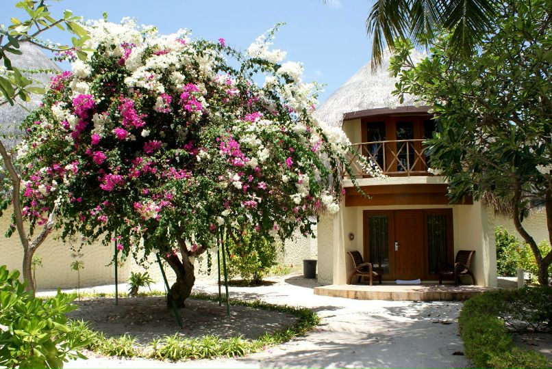 Oksana Klokta | Харьков