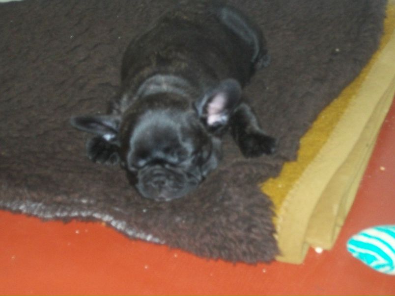 №16, Михаил Прохоров, 46 лет, Харьков №16, Михаил Прохоров, 46 лет, Харьков