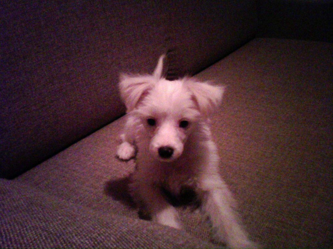 Елена Стрелкова | Ярославль