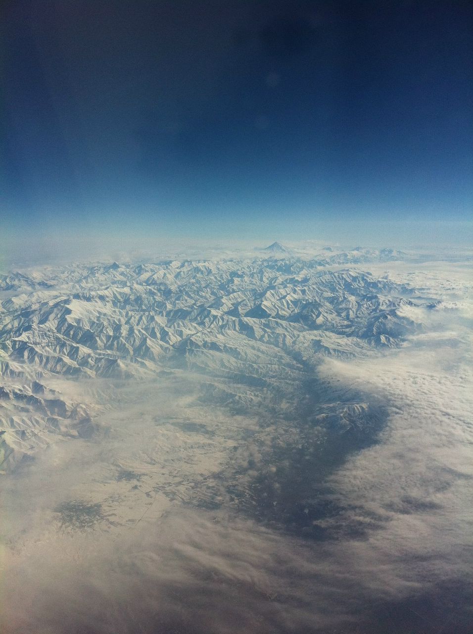 Мария Тарковская Сергеевна | Новосибирск