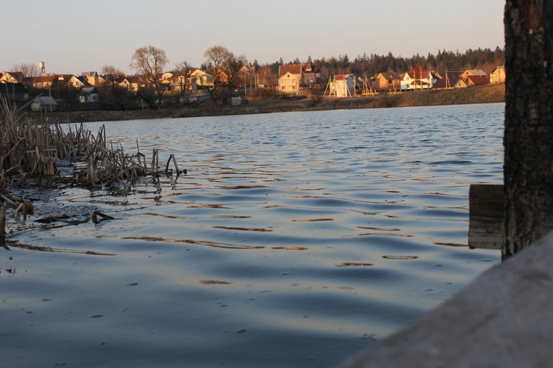 Светлана Кондратьева | Минск