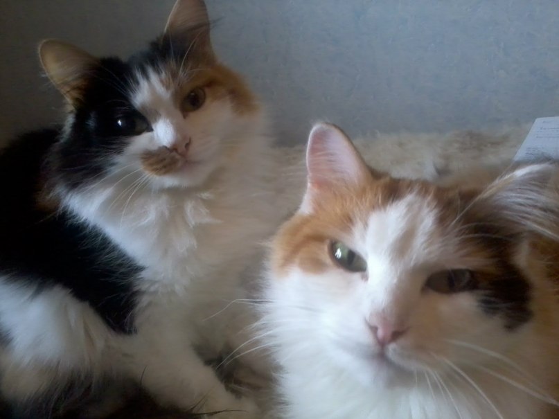 Анна Шураева | Москва