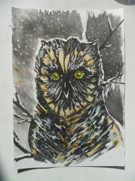 №17, Борис Скрипников №17, Борис Скрипников